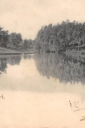 Groningen Noorderpark 1902 HC11841 Tani