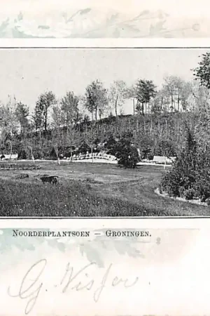 Groningen Noorderplantsoen 1901 HC11836 Tani