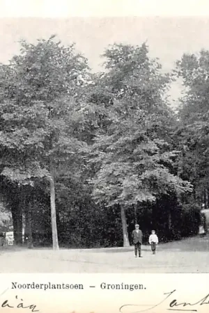 Groningen Noorderplantsoen HC11831 Niska cena