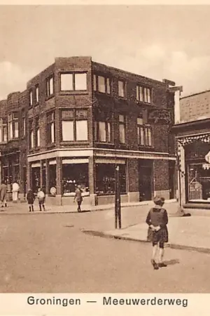 Groningen Meeuwerderweg HC10740 Tani