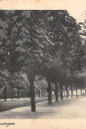 Groningen Zuidersingel HC10101 Popularny