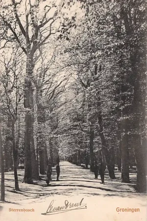 Groningen Sterrenbosch voor 1906 HC7523 Oferta limitowana