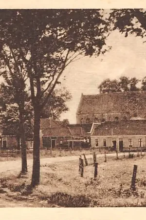 Wysoka jakość Oldehove Groet uit HC7266