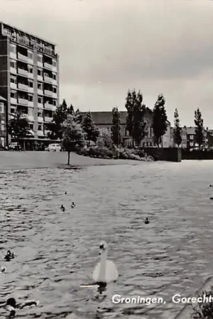 Rabat Groningen Gorechtvijver met Flatgebouw 1956 HC4715