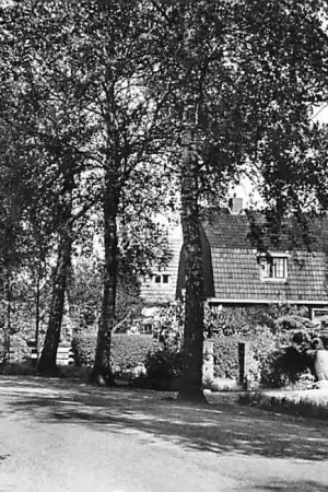 Tylko dziś Harendermolen Viaductweg 1967 HC982