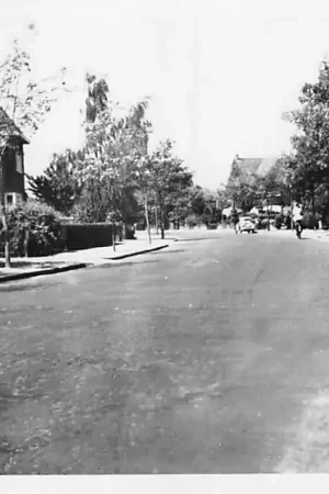 Popularny Haren Botanicuslaan 1948 HC950