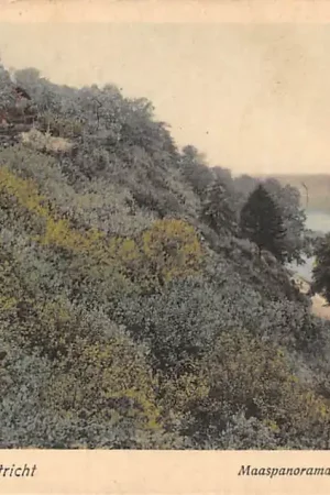 Wyprzedaż St. Pieter bij Maastricht Maaspanorama Chalet Lichtenberg HC60632