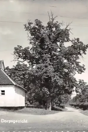 Autentyczny Mechelen (ZL) Dorpsgezicht 1965 Gulpen - Wittem Limburg HC59683