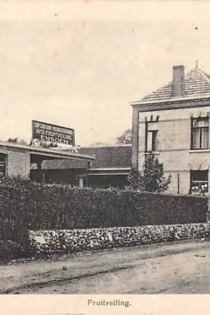 Eijsden Coöp. Zuid-Limb. Veilingenvereeniging Afd. Fruitveiling Eijsden Limburg 1918 HC51279 Zamów teraz