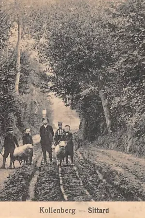 Sittard Kollenberg met kinderen en schapen 1917 Limburg HC47918 Rabat