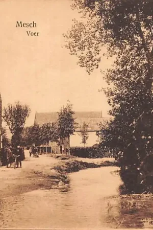 Mesch Voer Eijsden Margraten Limburg HC48960 Kup teraz