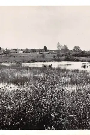 Velden Turf Koelen Venlo Limburg HC47071 Ostatnia szansa