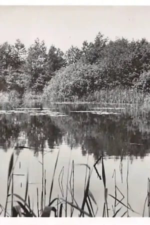 Zwrot pieniędzy Meerlo Limburg 1961 HC47059