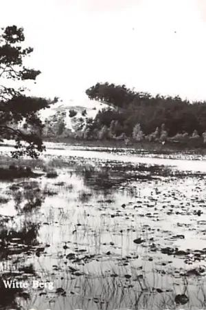 Velden Omgeving de Witte Berg Venlo Limburg HC46359 Oferta