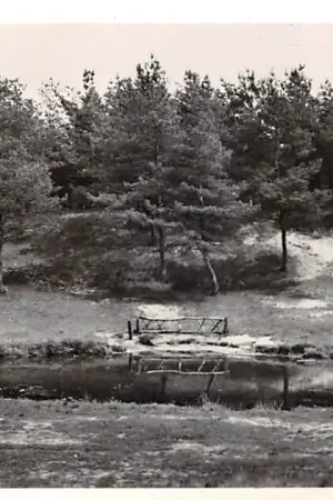 Velden Omgeving Houten' hekje Venlo Limburg HC46293 Szybka dostawa