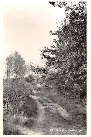 Blitterswijck aan de Maas Boslaantje Venray Limburg HC46242 Niska cena