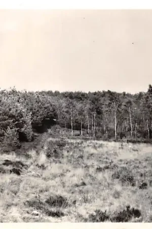 Baarlo Omgeving Peel Maas Limburg HC46550 Rabat