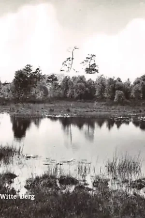 Premium Velden Omgeving de Witte Berg Venlo Limburg HC46495