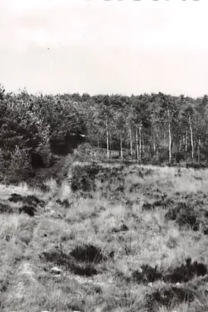 Najlepsza cena Baarlo Omgeving Peel en Maas Limburg HC46434