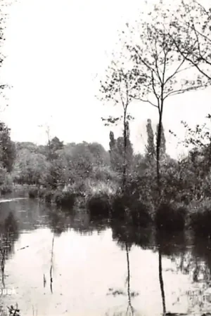 Grubbenvorst Molenbeek Horst aan de Maas Noord-Brabant HC46413 Niska cena