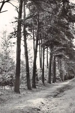 Wyprzedaż Arcen Aan 't lange hek 1967 Limburg HC46007