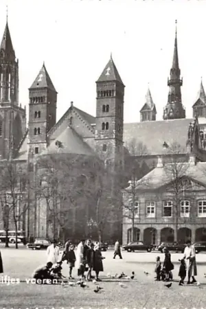 Maastricht Duifjes voeren HC45537 Premium