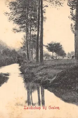 Geulhem Landschap Geulem met koeien in de wei Valkenburg (LB) HC43696 Zwrot pieniędzy