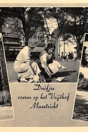 Ekspresowa dostawa Maastricht Duifjes voeren op het Vrijthof 1952 HC43516