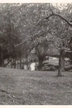 Epen De Geul 1947 HC43512 Darmowa dostawa