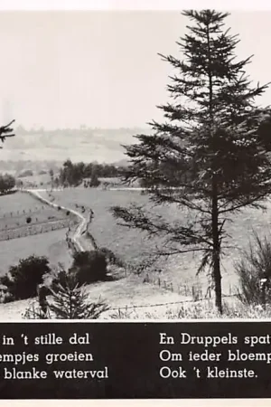 Autentyczny Limburg In 't Groene dal, in 't stille dal .... 1941 HC40729