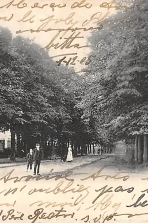 Roermond Kapeller-Laan 1900 HC32987 Ostatnia szansa