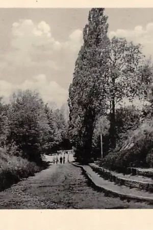 Sittard De Kollenberg 1932 HC29492 Autentyczny