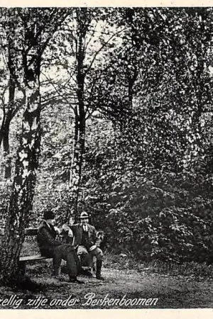 Valkenburg (LB) 'n Gezellig zitje onder Berkenboomen 1935 HC28092 Promocja