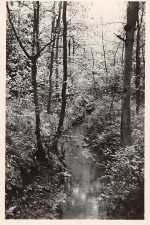 Arcen Het Lommerbeekje 1942 Venlo HC27721 Najlepsza cena