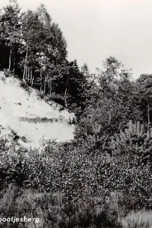 Arcen Aan de Hazenpootjesberg 1962 HC24894 Oferta