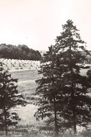 Oryginalny Slenaken Mooi Limburg Gulpen Wittem Limburg HC24839
