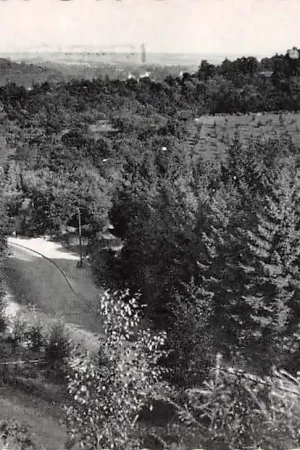 Valkenburg (LB) Vergezicht vanaf de Cauberg 1956 HC18136 Promocja