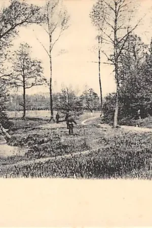 Valkenburg (LB) Verliefde BoomenHC15705 Zwrot pieniędzy