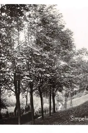 Szybka dostawa Simpelveld Landelijk plekje HC9311