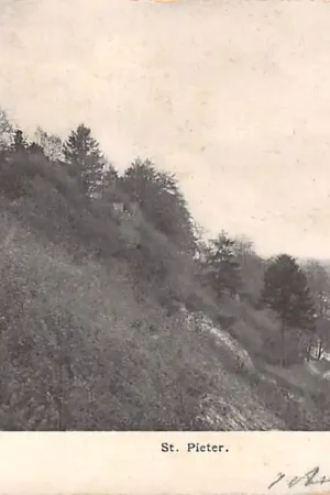 Ekspresowa dostawa Maastricht St. Pieter MaasTulpkaart HC5616