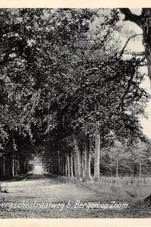 Wouwsche Plantage Huijbergschestraatweg bij Bergen op Zoom 1938 Noord-Brabant HC61542 Niska cena