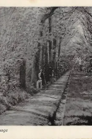 Liesbosch bij Princenhage Torendreef Breda HC61141 Ekspresowa dostawa