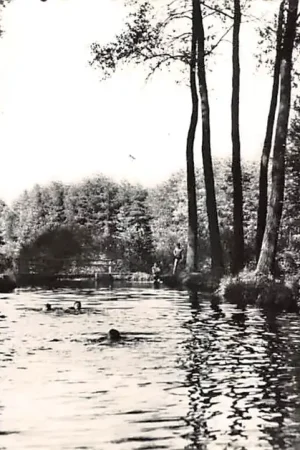 Premium Bergeijk Bergeyk Het Schut 1961 Noord-Brabant HC59688