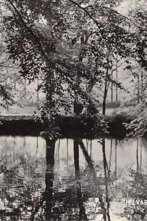 Hilvarenbeek Broekeling 1961 Noord-Brabant HC59574 Premium