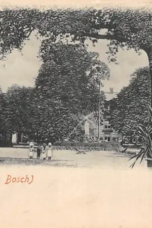 Wysoka jakość Coudewater by 's Bosch 1900 's-Hertogenbosch HC58106