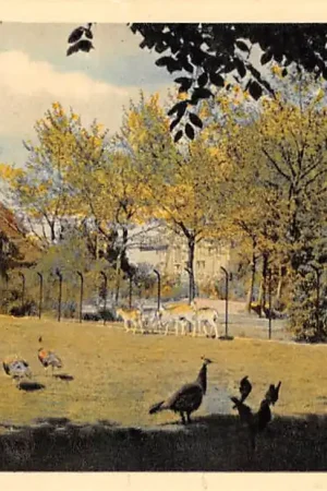 Tani Boekel (NB) R.K. Huis Padua Hertenkamp Noviciaat Peel Noord-Brabant HC58754