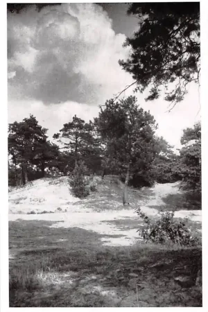 Premium Oosterhout Vacantie- en Kampeercentrum katjeskelder 1956 Noord-Brabant HC56755