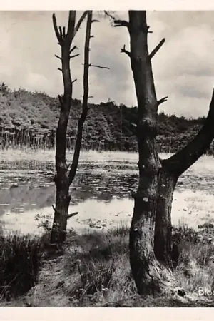 Woensdrecht Bloempjesven Noord-Brabant HC56715 Bezpieczna płatność