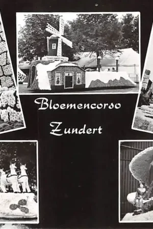 Zundert Bloemencorso 1966 Noord-Brabant HC55383 Premium