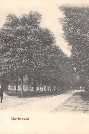 Najlepsza cena Uden Groet uit 1901 Marktveld Maashorst Peel Noord-Brabant HC55338